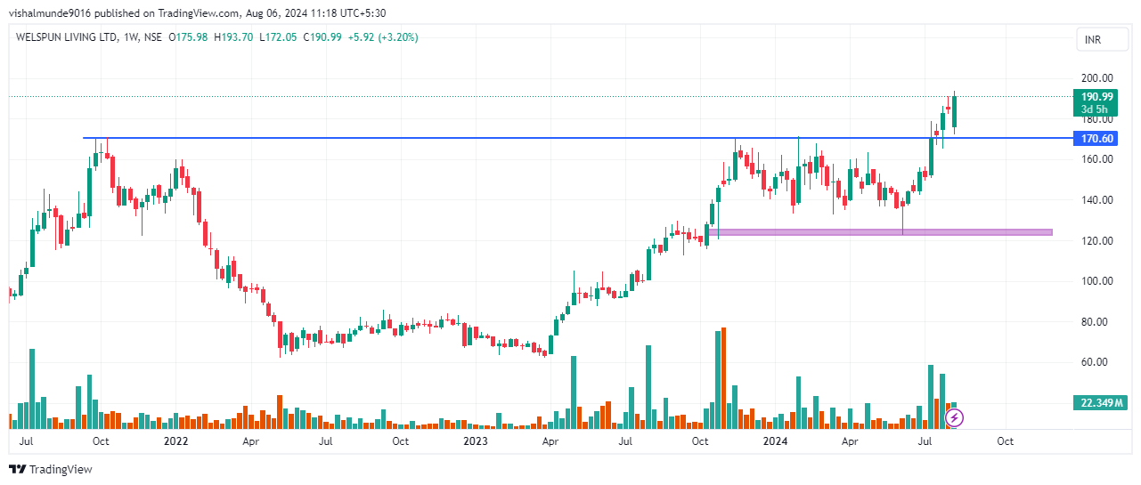 WELSPUNLIV share price target