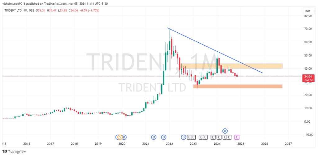 Trident Share Price Target