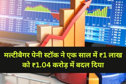 Multibagger penny stock SABTNL