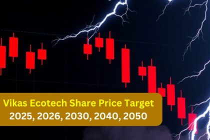 Vikas Ecotech Share Price Target