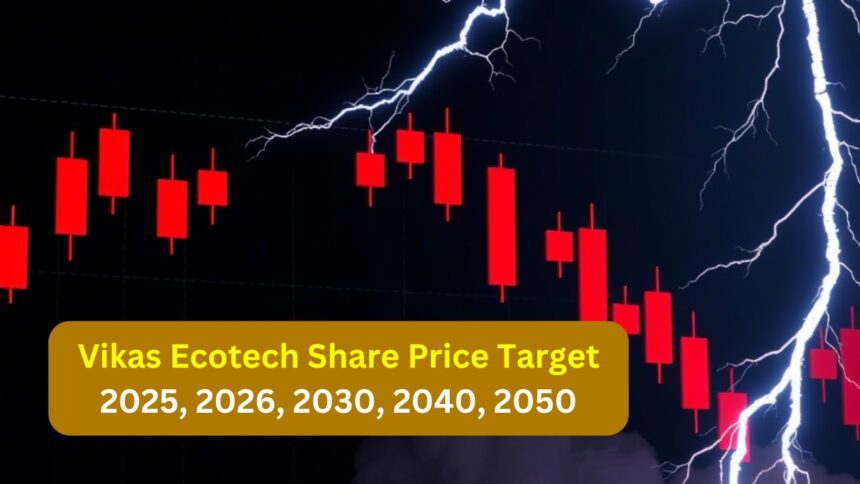 Vikas Ecotech Share Price Target