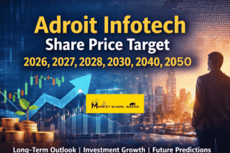 Adroit Infotech Share Price Target